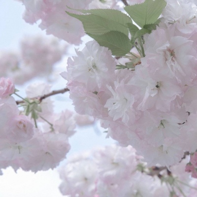 安泽FurryQQ群介绍